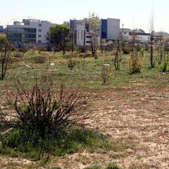 UE: el Madrid deberá devolver al Ayuntamiento 18'2M€