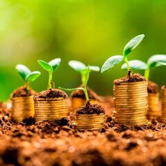 Impuesto de Saneamiento Ambiental en Los Cabos, Baja California: de cuánto será y desde cuándo aplica