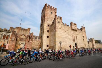 Panorámica del pelotón durante la etapa de hoy.