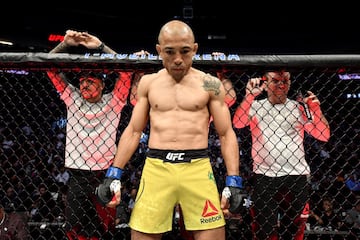 Jose Aldo es uno de los campeones que más carisma ha tenido en los últimos años. Su dura infancia y su manera de ser hizo que se ganase al público desde el primer momento. El brasileño, de 33 años, es campeón de la UFC en ocho ocasiones, aunque realmente su primer reinado fue más largo. Él competía en WEC, en la que hizo dos defensas antes de que la empresa fuese comprada por UFC. Él, por tanto, debutó haciendo una defensa del cinturón recién creado en UFC del peso pluma. Mantuvo su título en siete combates ante de perderlo contra McGregor en 2015. Una vez que ese cinturón quedó vacante, volvió a ganarlo, aunque lo perdió ante Holloway y desde entonces persi-gue volver a ser el rey. Ahora quiere hacerlo en una división menor a la suya, en el gallo. 