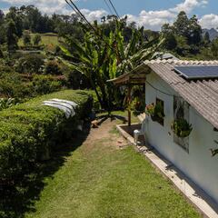 El subsidio que el Gobierno dará para instalar paneles solares: los requisitos para acceder
