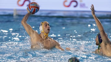 Tiburón Barceloneta