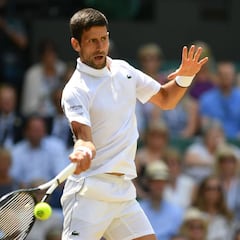 Djokovic y el escenario pueden con un bravo Bautista