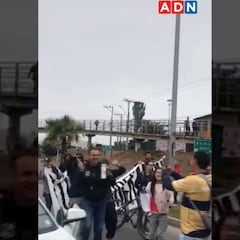 Gustavo Dalsasso se lució en "El que baila, pasa" en Viña