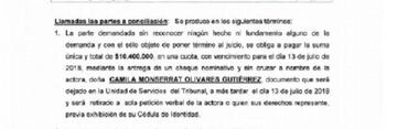 Acta de audiencia preparatoria. Llamada a conciliación.