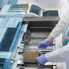 ¿Cuánto tiempo pueden permanecer los anticuerpos?