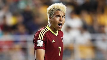 La resurrecci車n de Pe?aranda arranca en la Vinotinto