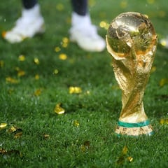 Mundial Qatar 2022: ¿cuánto dinero se lleva el campeón, el subcampeón y los clasificados?