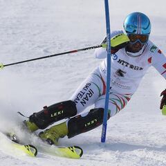 Alpine skier Saveh Shemshaki first to fail Beijing doping test