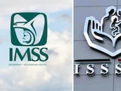 ¿Pago doble en marzo?: estos adultos mayores recibirán una enorme cantidad del IMSS e ISSSTE