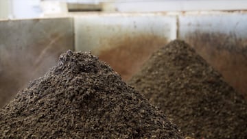 Así se procesan hasta 8 toneladas de residuos en una hora