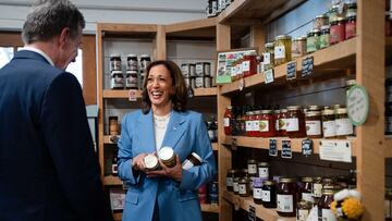 U.S. Democratic presidential nominee Kamala Harris talks with North Carolina Governor Roy Cooper as she visits the Bayleaf Market in Raleigh, North Carolina, U.S., August 16, 2024. Erin Schaff/The New York Times/Pool via REUTERS