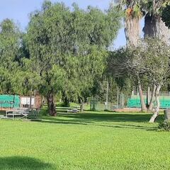 Voulgaris formaliza la compra de terrenos para la nueva ciudad deportiva del Castellón