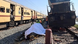 Un tren choca contra una manada de elefantes y mata a siete ejemplares