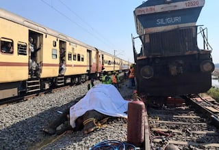 Un tren choca contra una manada de elefantes y mata a siete ejemplares
