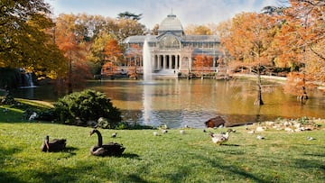 Si hablamos de parques de Madrid el primero que siempre nos viene a la cabeza es el espectacular Parque de El Retiro. Se le conoce como uno de los corazones de la capital, situado al sur del Barrio Salamanca. Cuenta con ms de 125 hectreas y ms de 15.000 rboles. Este lugar siempre est repleto de gente que o bien pasea, o bien hace deporte, o bien disfruta de las vistas de su increble estanque.



El Palacio de Cristal o el Monumento a Alfonso XII son algunos de sus elementos ms caractersticos. Gracias a su grandeza y su belleza, en julio de 2021, el Parque de El Retiro fue reconocido como Patrimonio de la Humanidad.