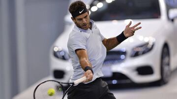 Del Potro entra en el top-20 del ránking de la ATP