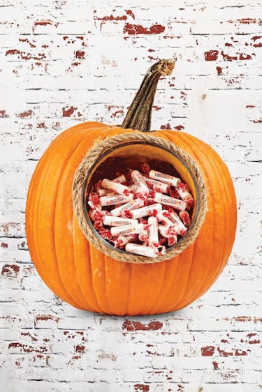 ?Cmo hacer una decoracin casera con calabazas decoradas en Halloween 2024?