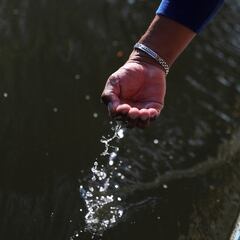 Where do the largest Earth Day celebrations take place?