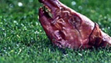 <b>COCHINILLAZO. </B>Lols incidentes de 2002 se quedan en apenas una multa de 4.000 euros.