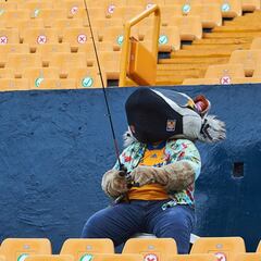 Tigres confirma "reembolso" hacia abonados por partidos de la temporada 2019-2020