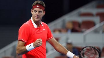 Del Potro avanza en China y clasifica al Masters de Londres