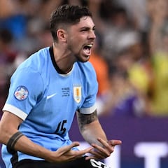 El halcón ‘alemán’