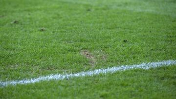 La UEFA cambiará el césped
del Pierre-Mauroy de Lille