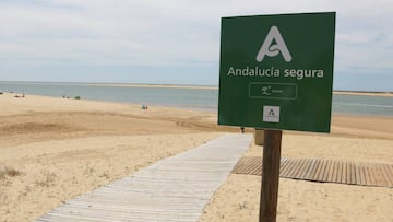Acceso a la playa 'Caño de la Culata' en el núcleo cartayero de Nuevo Portil (Huelva)
AYUNTAMIENTO DE CARTAYA
10/06/2020