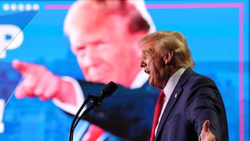Trump ha sido electo como el próximo presidente de los Estados Unidos. Esto dice la Constitución sobre las funciones que le corresponden.