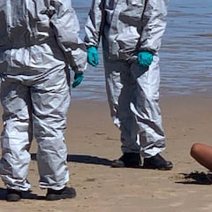 Surfeó con Covid, su detención se hizo viral y ahora le piden 3000€ de multa