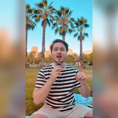 Alemán explica en TikTok las tres cosas que nunca debes hacer en Chile y sorprende a todos: “No te burles de...”