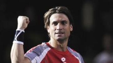 David Ferrer.