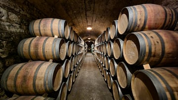 ELCIEGO, SPAIN - SEPTEMBER 9: Wine barrels fill the cellars open to visitors at the iconic Rioja winery Marques De Riscal on September 9, 2022 in the Basque Country town of Elciego in the northern Spanish province of Alava. Two years after the onset of the Covid-19 pandemic, the country is looking to return to its status as a tourism magnet after it welcomed over 30 million visitors in the first half of 2022, some six times more than in the same period in 2021. (Photo by David Silverman/Getty Images) VINO BARRICAS