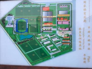 El joven talento chino está en manos de un perico