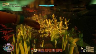 La sensación de supervivencia en Grounded: 5 motivos para emprender la aventura