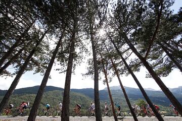 El pelotón durante la décimo octava etapa del Tour.