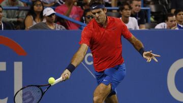 Del Potro, 31º en el ránking ATP