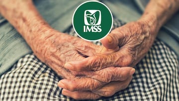 Demandó al IMSS tras retirarle su pensión por enfermedad sin motivo alguno y esta fue la resolución de los tribunales