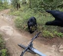 Cara a cara entre un ciclista y un oso en POV