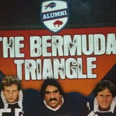 El Triángulo de las… Niagara Falls