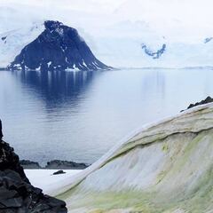 Coronavirus: Largest drop in carbon emissions in recorded history