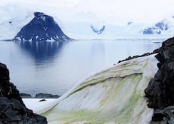 The tiny world from 34 million years ago discovered under Antarctica: “It’s like a time capsule”