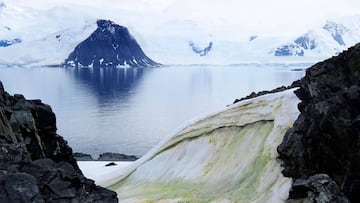 Handout picture taken in 2018 and released by the University of Cambridge on May 20, 2020 showing Muli-colored snow algae on Anchorage Island, in Antarctica. (Photo by Dr. Matt DAVEY / UNIVERSITY OF CAMBRIDGE/SAMS / AFP) / RESTRICTED TO EDITORIAL USE - MA