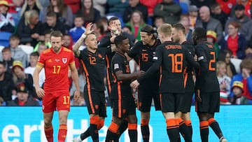 La selección neerlandesa celebra el gol de Koopmeiners.