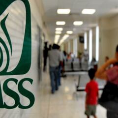 Tarjetón Digital IMSS para jubilados 2025: qué es, cómo solicitarlo, requisitos y paso a paso para descargarlo en línea