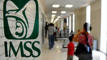 Tarjetón Digital IMSS para jubilados 2025: qué es, cómo solicitarlo, requisitos y paso a paso para descargarlo en línea