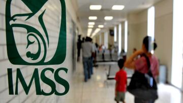 Así podrás calcular las semanas cotizadas del Seguro Social con la Modalidad 40 del IMSS