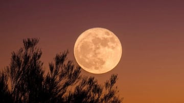 The month of October is halfway through and this date brings astronomy fans a treat in the form of a full moon that’s set to be the biggest this year.