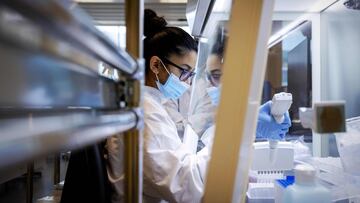 Ocho secuencias genéticas se relacionan con un mayor riesgo